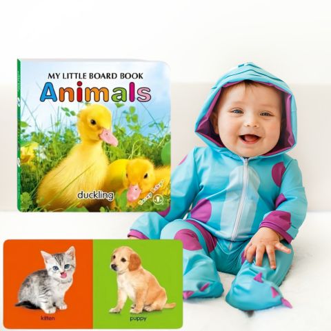 Livre pour enfant - Images sensorielles éducatives - Anglais