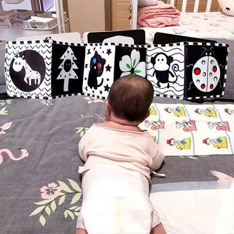 Livre-pour-bebe