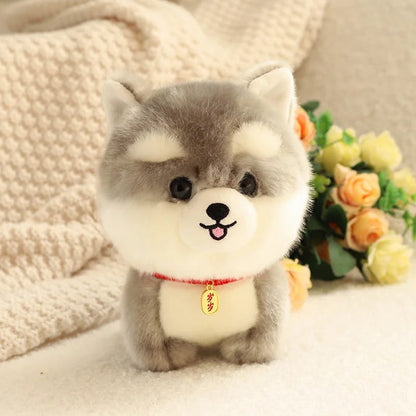 Peluche husky