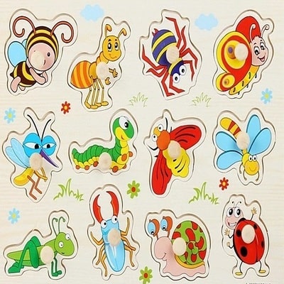 Puzzle bois insecte