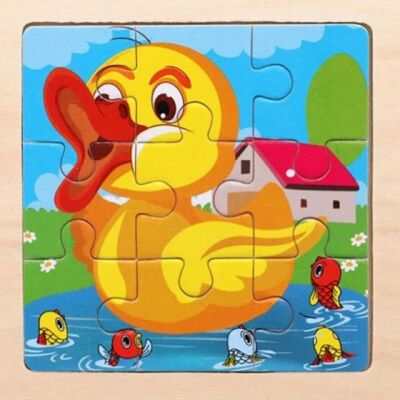 Puzzle canard