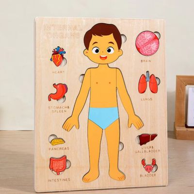 Puzzle eveil