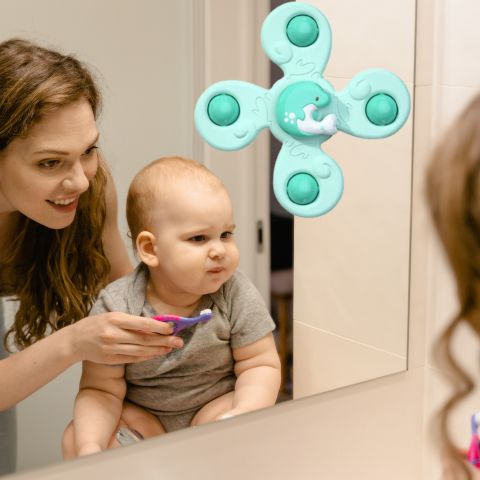 toupie-bébé-animaux-marins