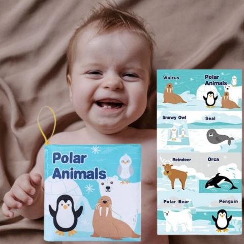 livre-pour-enfant​-animaux-polaire