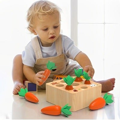 puzzle-3d-bois-carotte-Monterossi