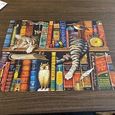 puzzle-enfant-magique-chat-dort-bibliothèque